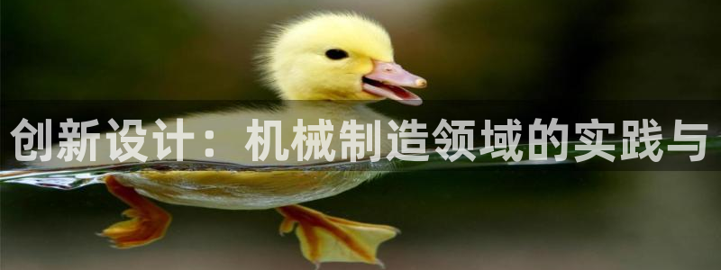 泉州摩根娱乐